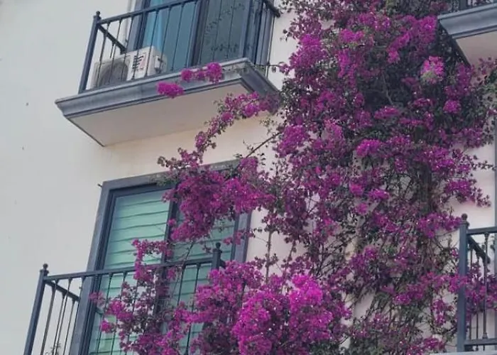 2bed 2bath Cabo Sunrise With Extended Balconies